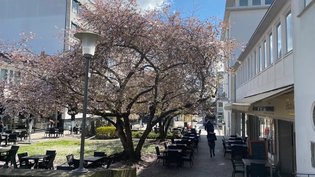 Außenterrasse mit Kirschblüten an der Treppenstraße
